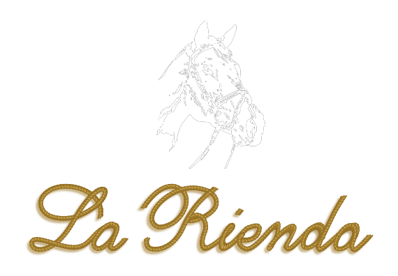 La rienda